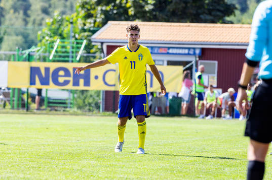 Sveriges Harun Nezirovski