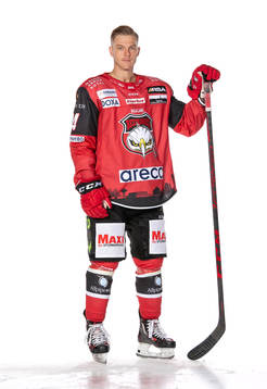 Malmös carl johan lerby 2