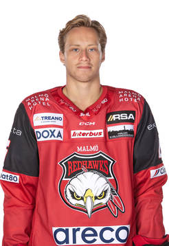 Malmös Theodor Johnsson