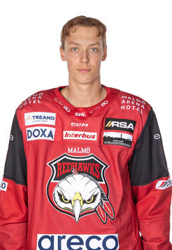 Malmös William von Barnekow