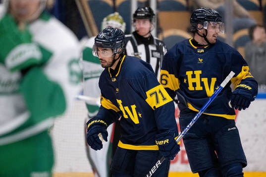 HV71s Tyler Vesel jublar