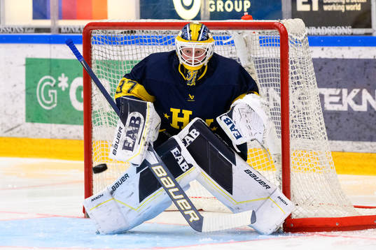 HV71s målvakt Jonas Gunnarsson