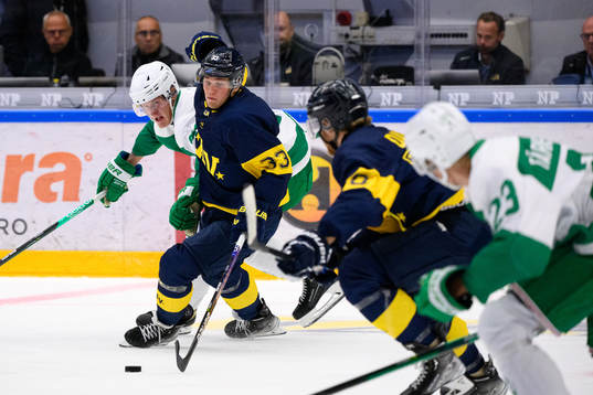 Rögles Adam Edström och HV71s Måns Lindbäck