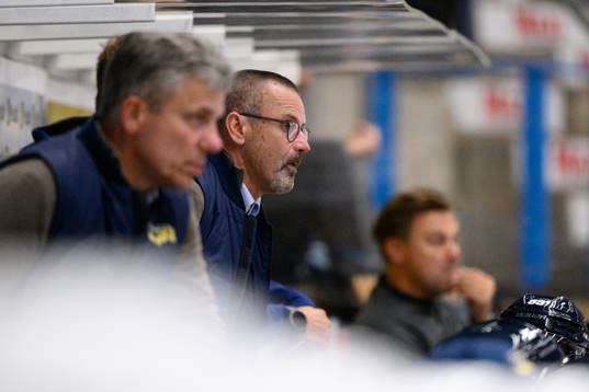 HV71s tränare Tommy Samuelsson