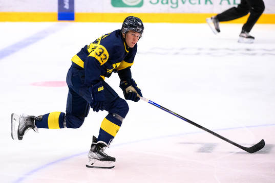 HV71s Måns Lindbäck