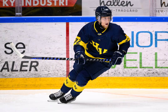 HV71s Jonathan Davidsson