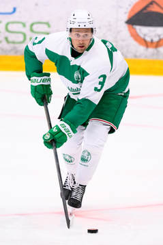 Rögles Michael Kapla