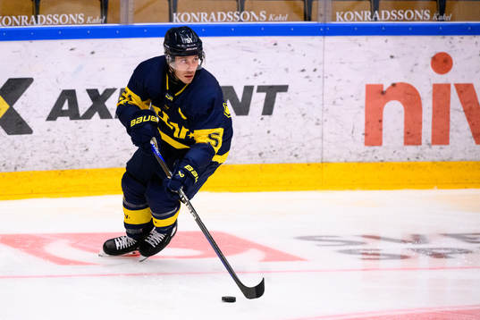 HV71s Andy Miele