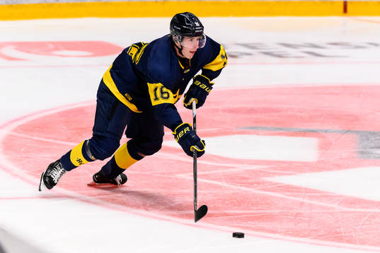 HV71s Kalle Holm