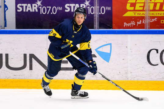 HV71s Eric Martinsson