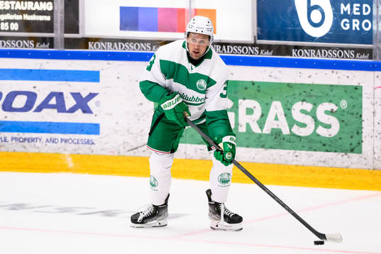 Rögles Michael Kapla
