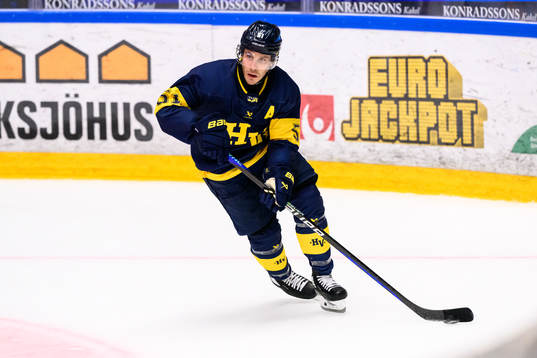 HV71s Andy Miele