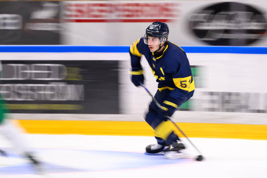 HV71s Andy Miele