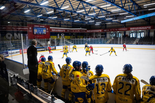 Players of Sweden and of Switzerland