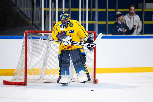 goaltender Ida Boman of Sweden looks dejected