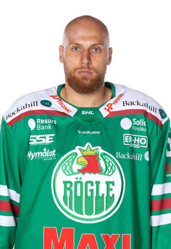 Rögles Vojtech Mozik