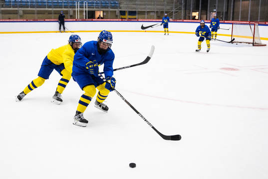 Sara Hjalmarsson and Lina Ljungblom of the Swedish women's