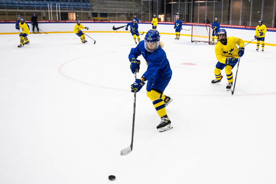 Ebba Berglund and Mira Jungåker of the Swedish women's