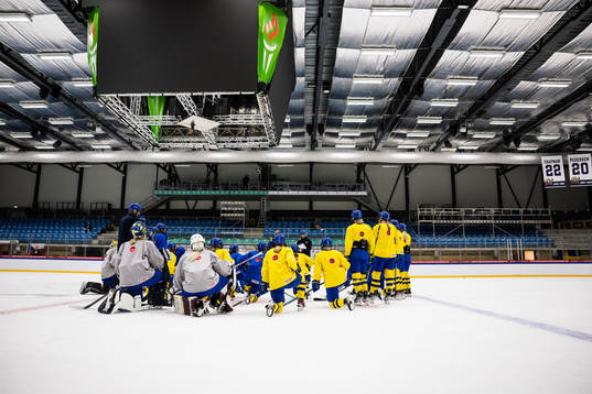 Players of the Swedish women's national ice hockey team
