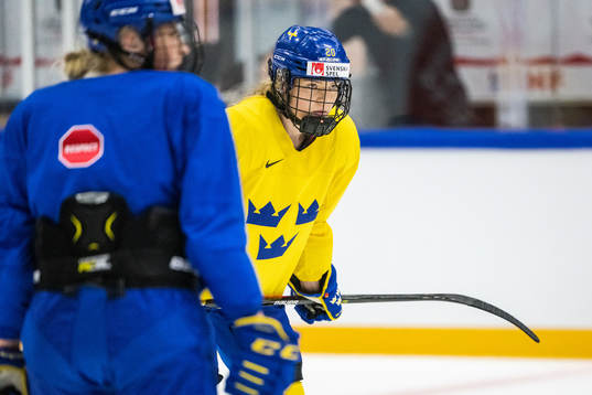 Paula Bergström of the Swedish women's national ice hockey