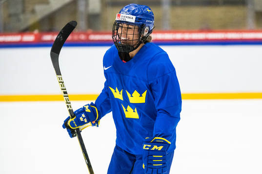 Anna Kjellbin of the Swedish women's national ice hockey