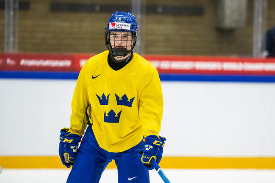 Mira Jungåker of the Swedish women's national ice hockey