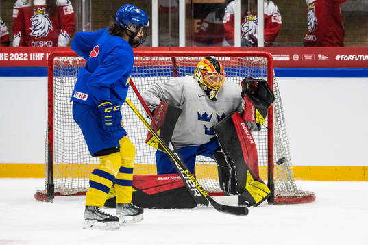 goaltender Ellen Jonsson of the Swedish women's national