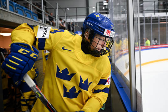 Felizia Wikner-Zienkiewicz of Sweden