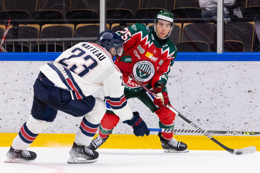 Linköpings Stefan Matteau och Frölundas Radan Lenc