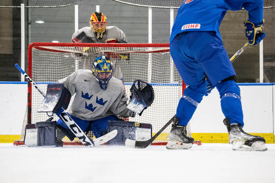 goaltender Ida Boman and goaltender Ellen Jonsson of Sweden
