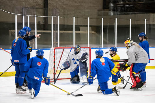 Players of Sweden at a practice session
