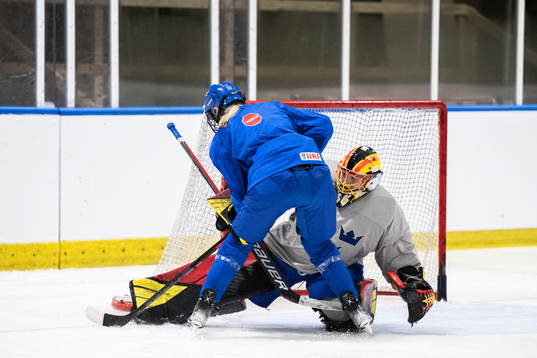 goaltender Ellen Jonsson of Sweden at a practice session