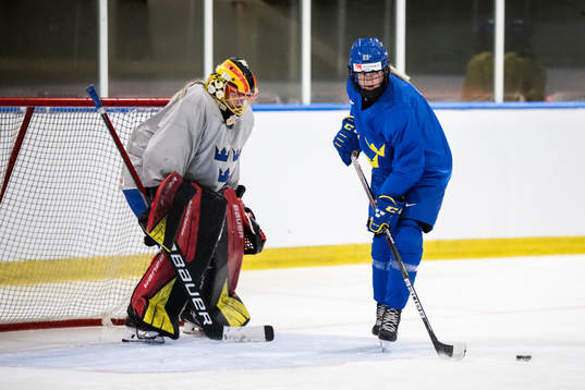 goaltender Ellen Jonsson and Thea Johansson of Sweden at a