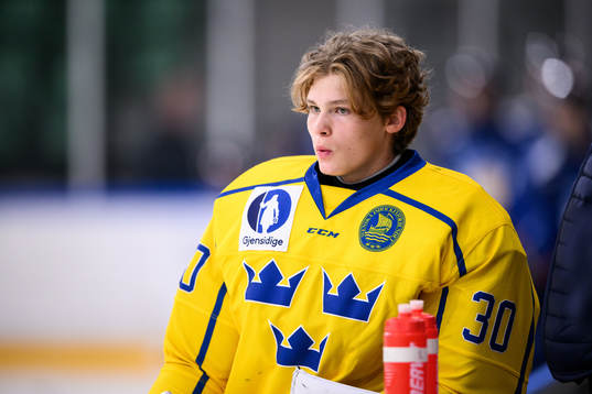 Sveriges målvakt Hugo Laring