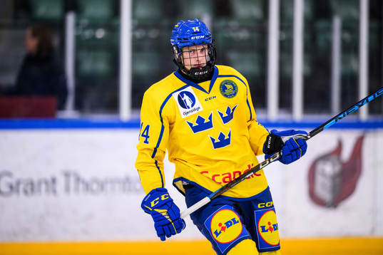 Sveriges Måns Toresson