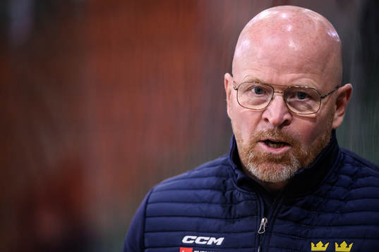 Sveriges förbundskapten Johan Rosén