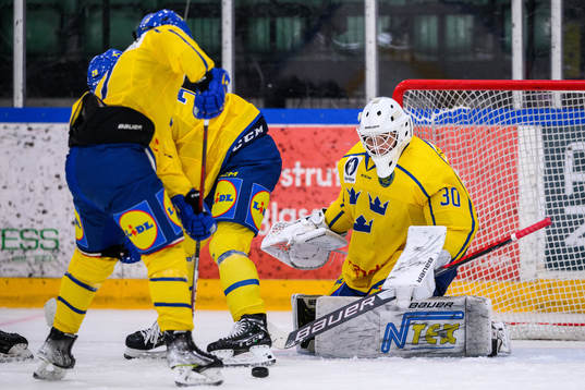 Sveriges målvakt Hugo Laring