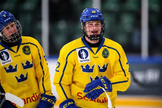 Sveriges Karl Sterner jublar