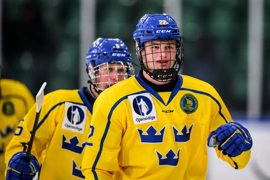 Sveriges Karl Sterner jublar