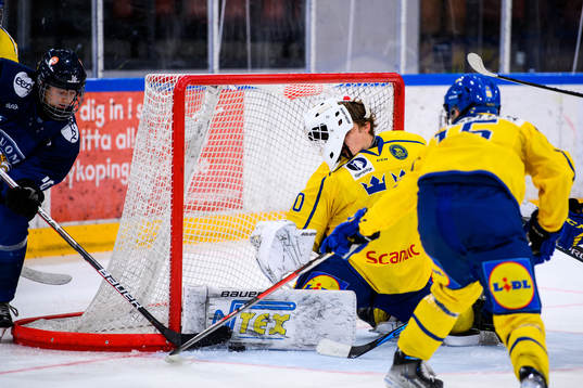 Sveriges målvakt Hugo Laring