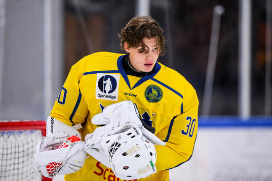 Sveriges målvakt Hugo Laring