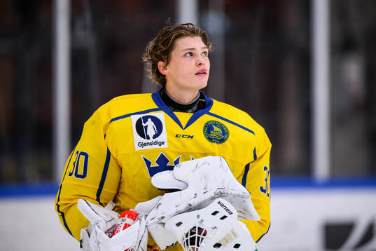 Sveriges målvakt Hugo Laring