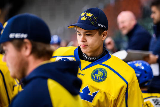 Sveriges målvakt Herman Liv