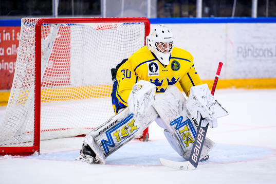 Sveriges målvakt Hugo Laring