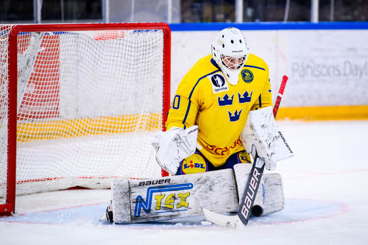 Sveriges målvakt Hugo Laring