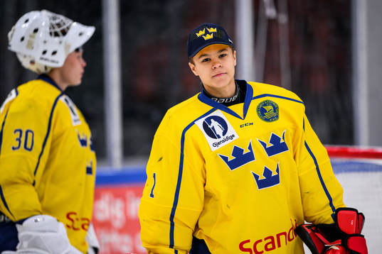 Sveriges målvakt Herman Liv