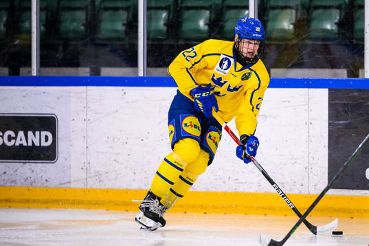 Sveriges Karl Sterner