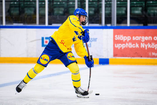 Sveriges Alfons Freij