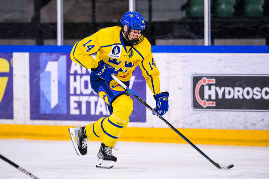 Sveriges Måns Toresson