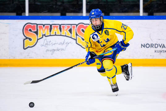 Sveriges Alexander Zetterberg